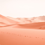 thumbnail-references4